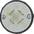 OLYM L15-20P   Nema Locking Plug