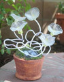 Pacific Solar™ Crystal Blue Solar Flexi 5 Blinking White LEDs Potted Pansy Flower Lights