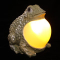 Outdoor Landscape Solar Powered Frog With Amber Belly Light 