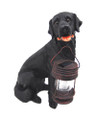 Black Labrador Dog w/Lantern Solar Light (DBL5185A) 