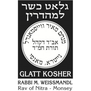 Image result for rabbi menachem meir weissmandl