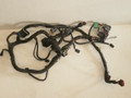 1999-2001 Ford Mustang 4.6 Gt Computer Brain Wire Harness Loom XR33-12A581-BN