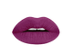 vamptastic plum liquid lipstick swatch