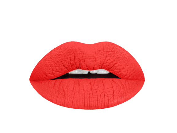 kylie jenner whirl lip liner