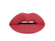 brick red liquid lipstick swatch