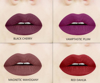 dark liquid lipstick bundle