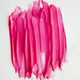 pink tulip
glossy lip tint
vegan + cruelty-free