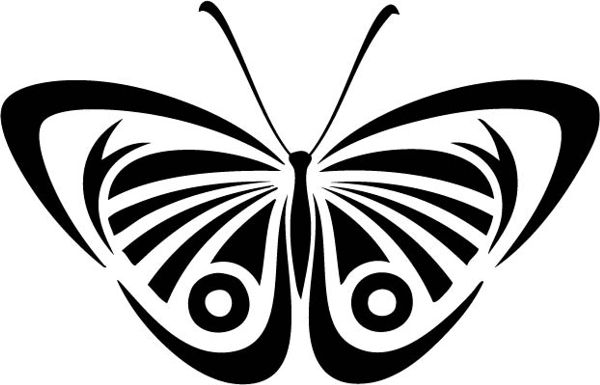 Download Insect Car Decals - Car Stickers | Butterfly Car Decal 13 | AnyDecals.com