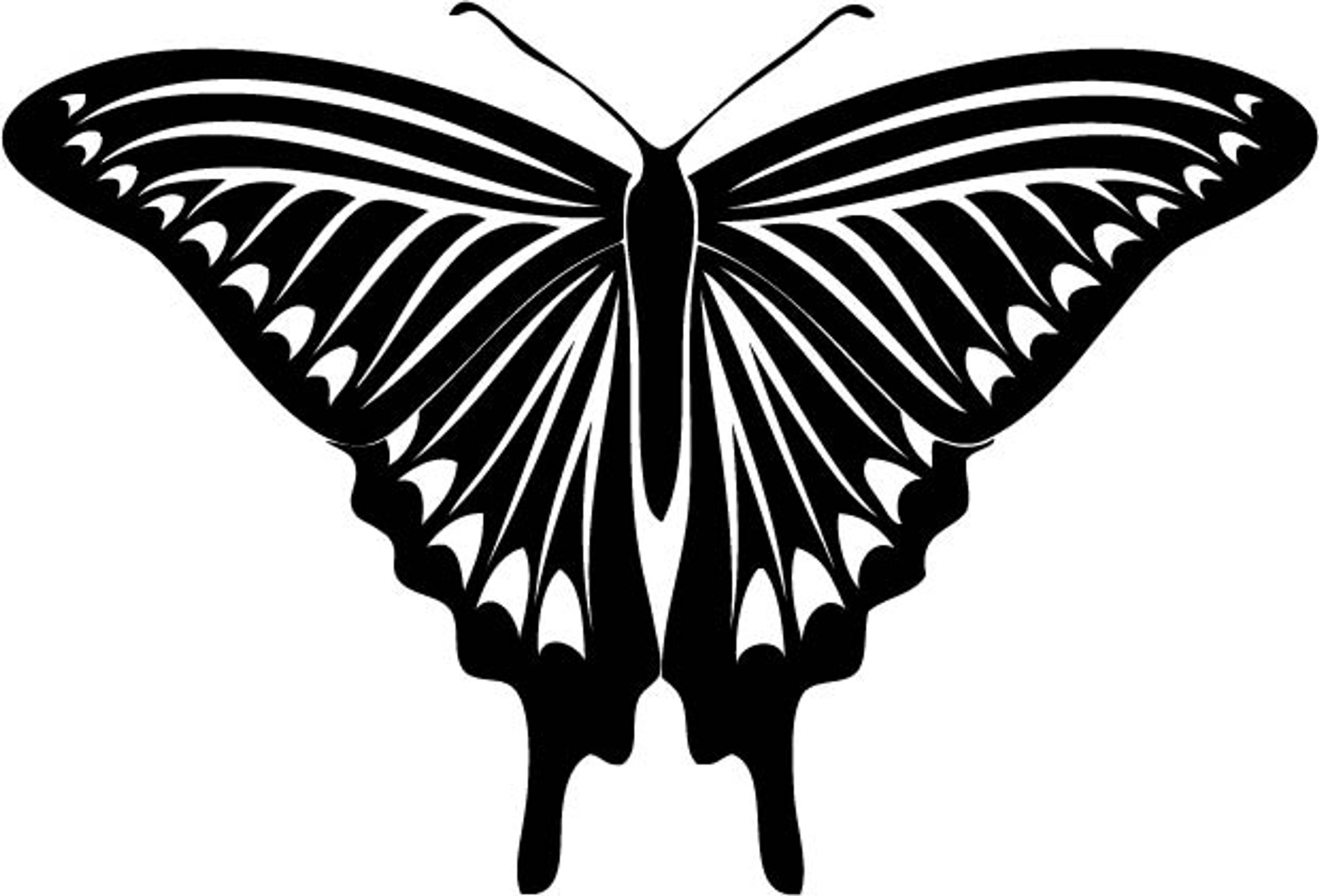 Insect Car Decals - Car Stickers | Butterfly Car Decal 17 | AnyDecals.com