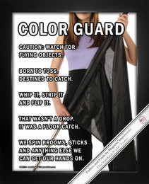 Framed Color Guard Flag 8x10 Sport Poster Print