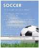 Soccer Ball Sky 8x10 Sport Poster Print