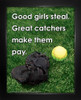 Framed Softball Great Catcher Saying 8 x 10 Sport Poster Print