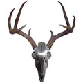 Dead Deer Iron Buck Antler Mount Kit