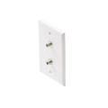Tv Plate Ivory W/2-coupler