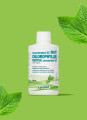 Land Art Concentrated 5X Mint Chlorophyll (E)