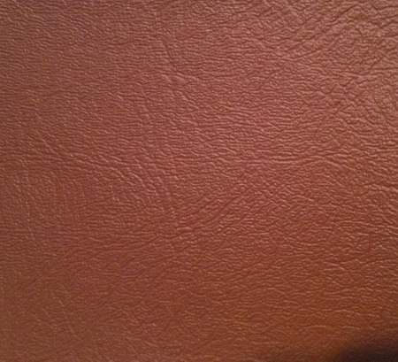 2015-02-12-tan-upholstery-close-up450.jpg