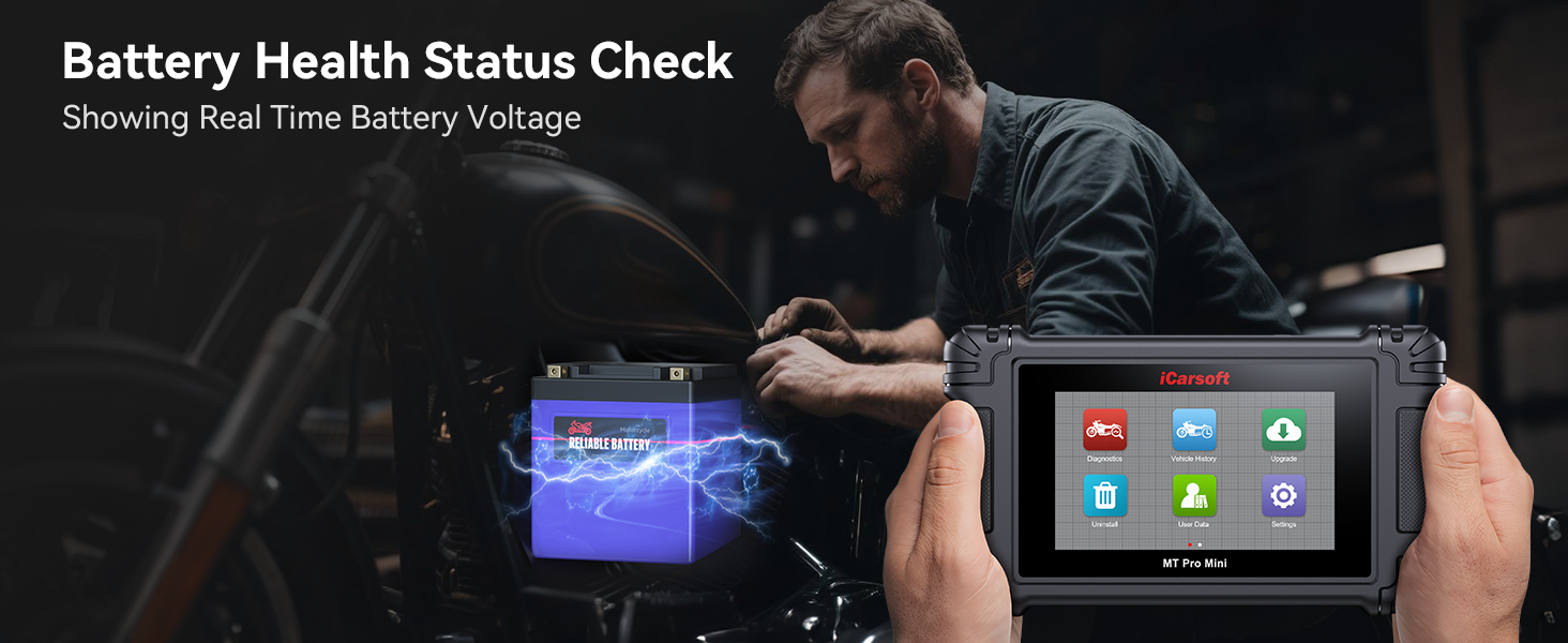 Battery health status check - realtime voltage
