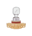 PS24W Bulbs