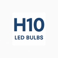 H10