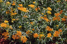 Photo by Jenny Evans (CC BY-NC 2.0)