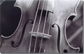 Violin Photo Cards, Box of 8
