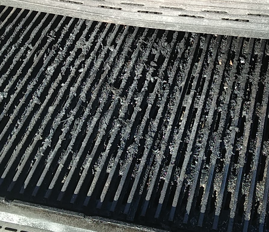 Dirty Cooking Grates
