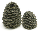 Set of 2 Decorative Charred Pine Cones
