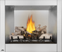 Napoleon Riverside 36" Outdoor Stainless Fireplace - Birch Log Set