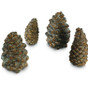 Real Fyre Designer Pine Cones