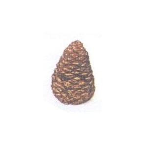 Rasmussen Pine Cone 4-Inches Medium 