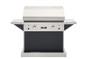 TEC Infrared Grill Patio FR Grill Series 44" on Black Pedestal