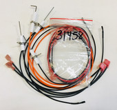 80145 Lynx Electrode Kit