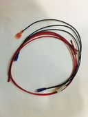 Lynx 36, 42 Ignition Wire Harness - 80432