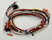 Viking Igniter Wire Harness - 026342-000