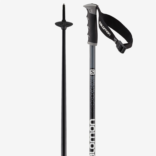 salomon arctic s3 ski poles