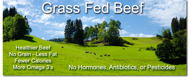 Shop Topline Foods Grass Fed Beef