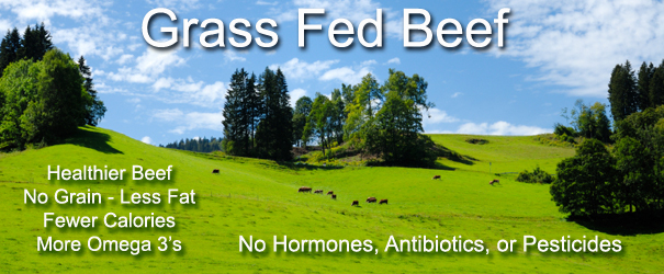 Why Buy Grass Fed Beef?