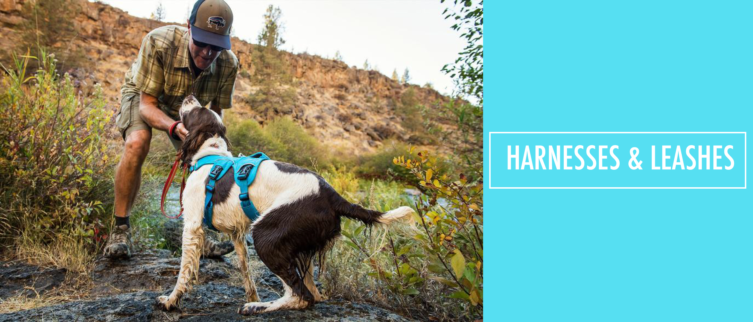 Chaar - Pet Supplies, Cowboy Boots, Work Boots, Hiking Boots, & Dog ...