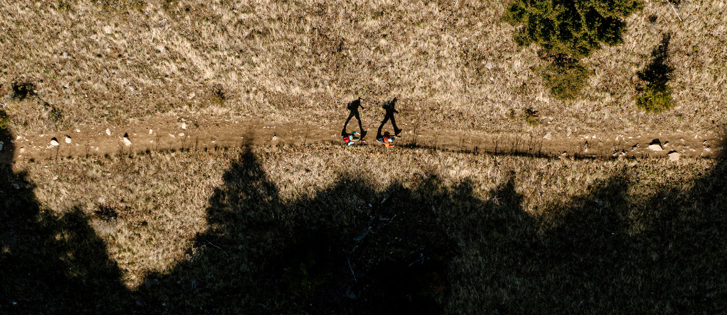 View of a hiking trail from above - Copyright 2020 Oboz Footwear