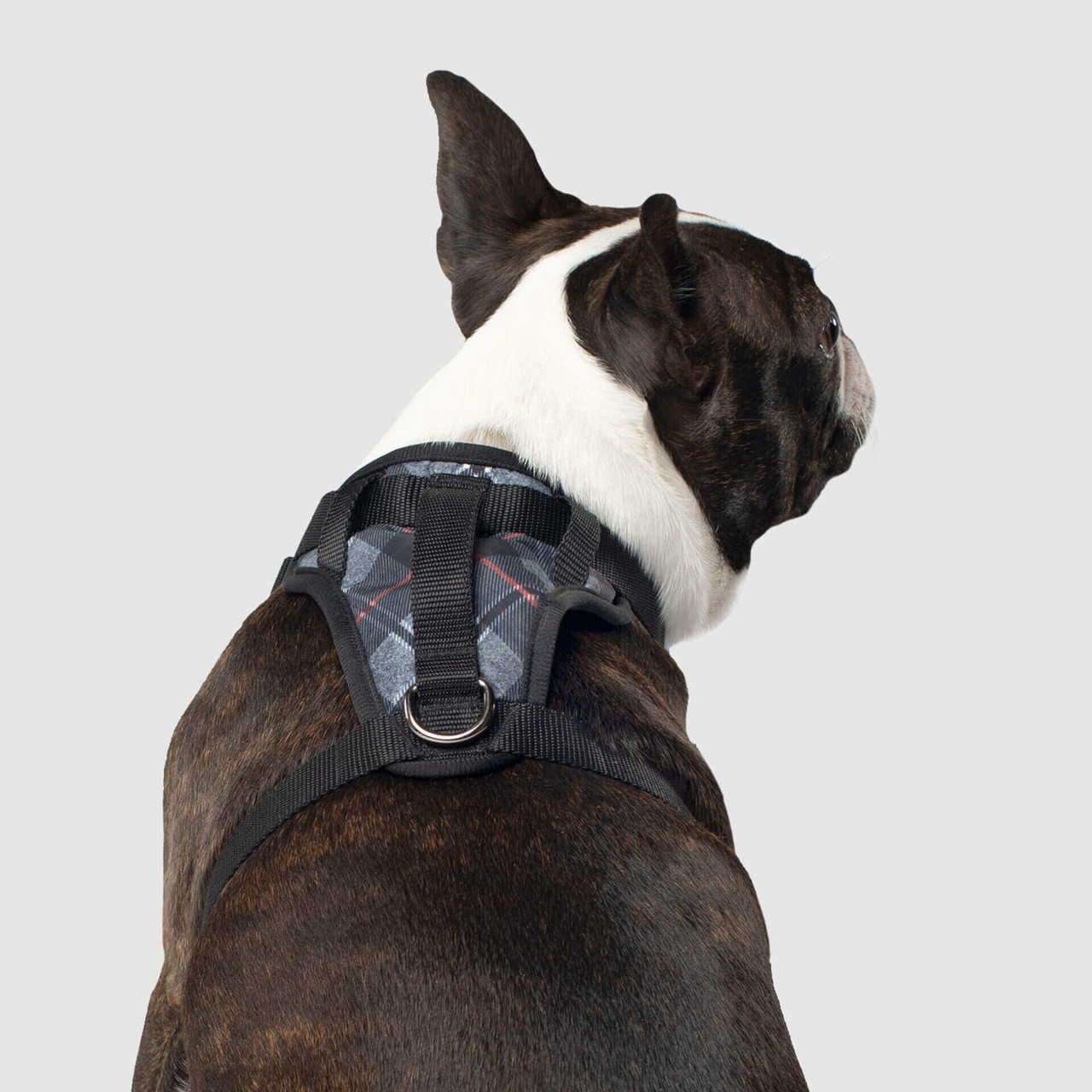 Canada Pooch Everything Harness Plaid Chaar