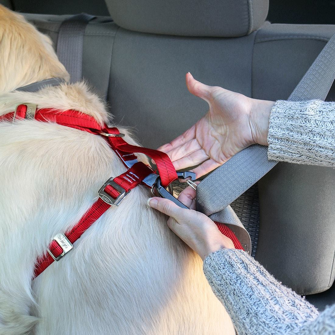 Kurgo Enhanced TruFit Car Harness for Dogs Chaar