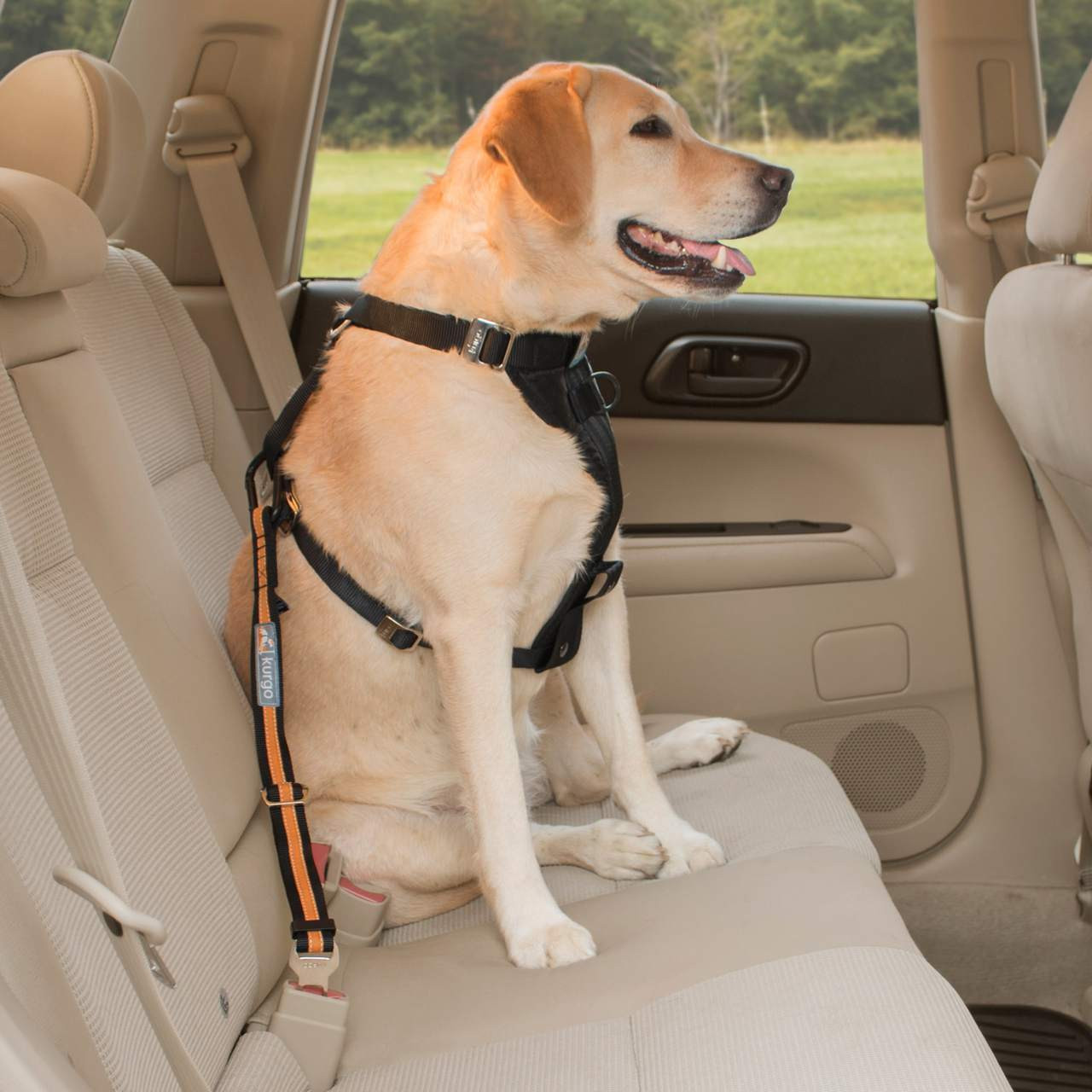 Kurgo Direct To Seat Belt Tether Chaar