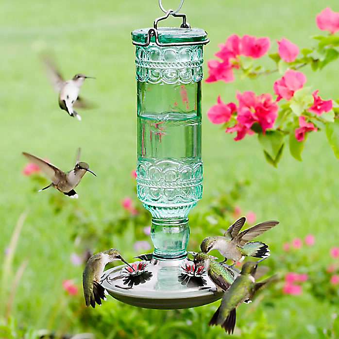 diy hummingbird feeder glass bottle