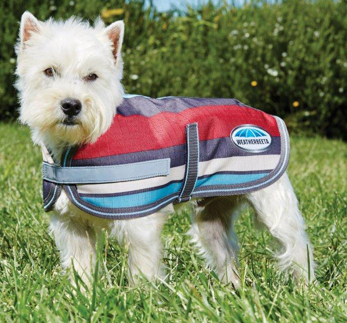 Weatherbeeta Waterproof Parka 1200D Dog Coat Grey Stripe Chaar
