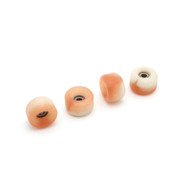 Blistered Wheels - G4 - Cinnamon Roll Lloyd