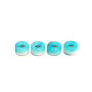 Blistered Wheels - John Cowart - Gummishark Lloyd (Turquoise Front)