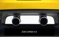 C6 Polished Dual 2 Tip Exhaust Port Filler Panel Corsa 4.0