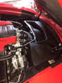 Halltech 2014-2019 Corvette C7 Stingray Grand Sport Stinger-RZ™ Air Intake System w/Agapostemon Bee Filter