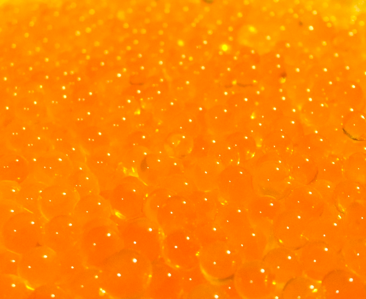 Fishheads Natural Speckled Trout Roe (5.3oz - 1/3lb) - Fishheads