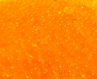 Fishheads Natural Speckled Trout Roe (5.3oz - 1/3lb)